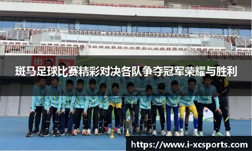 斑马足球比赛精彩对决各队争夺冠军荣耀与胜利